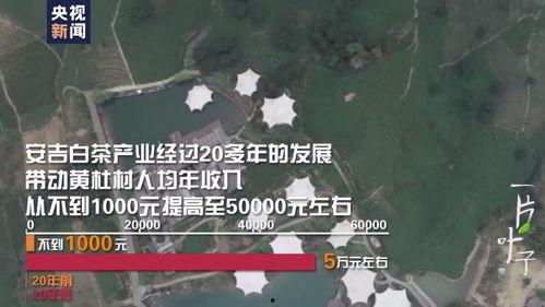 一片树叶爆料视频大全,视频大全带你探索自然奥秘  第3张